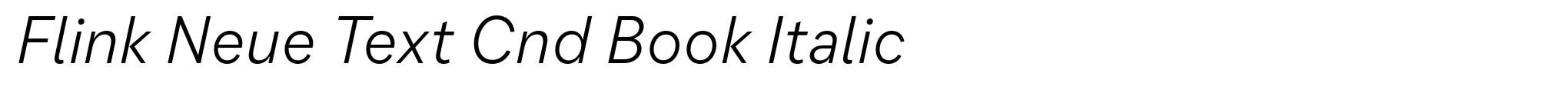 Flink Neue Text Cnd Book Italic image